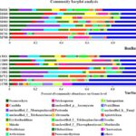 Change management models